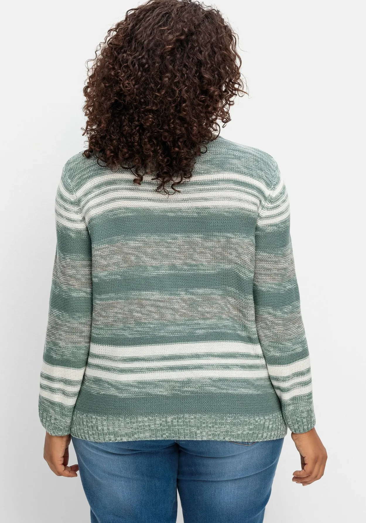 Pullover mit Stehkragen und Blockstreifen<sheego Fashion